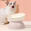 Striped Ceramic Pet Bowl