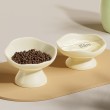 Ceramic Petal Shaped Pet Bowl