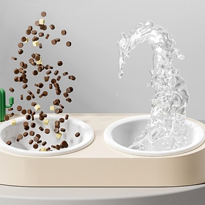 Ceramic Double Pet Bowls