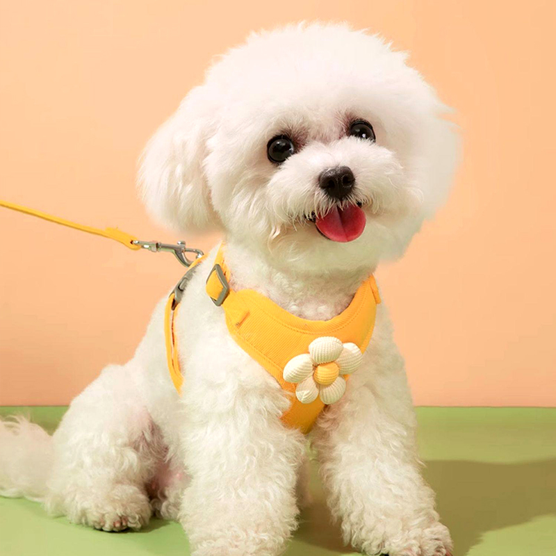 Adjustable Pet Leash