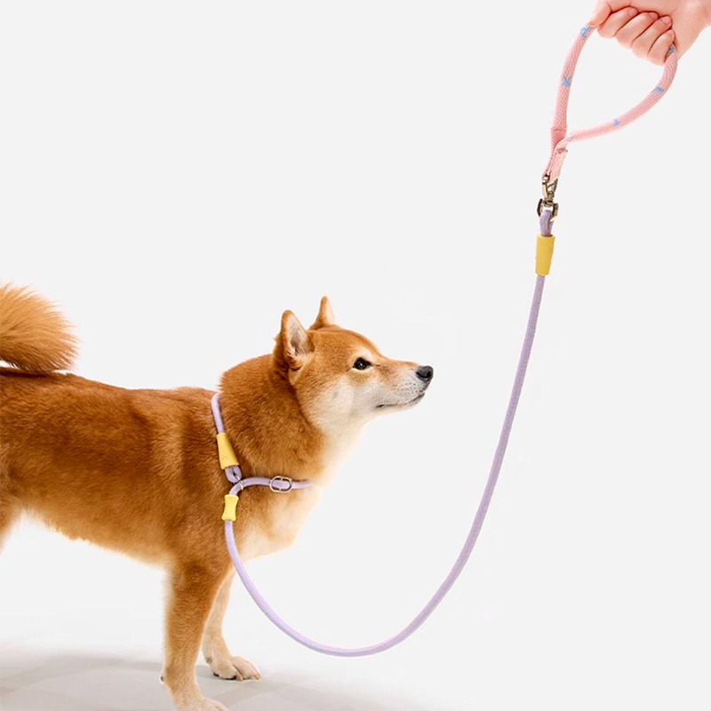 One Piece Anti Sneak Leash for Dogs