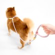 One Piece Anti Sneak Leash for Dogs
