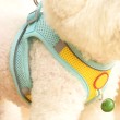 Small Dog Vest Style Leash