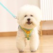 Small Dog Vest Style Leash