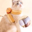 360° Wrap Around Cat Leash