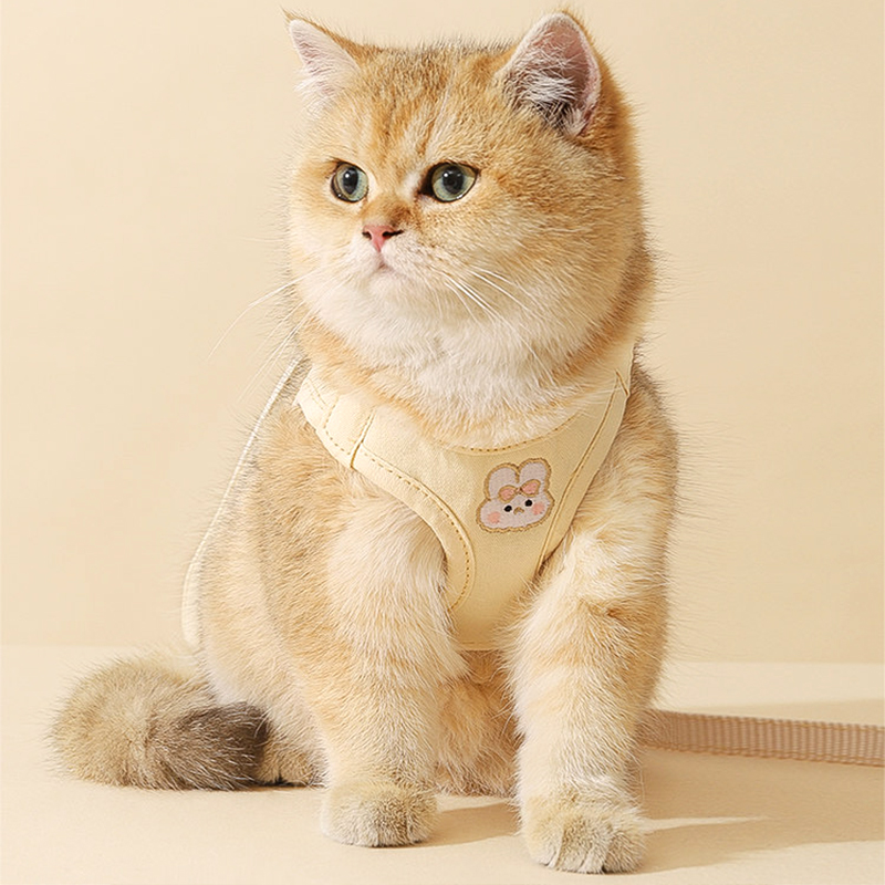 Rabbit Embroidered Chest and Rig Leash Set