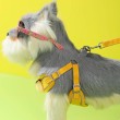 Vest Style Small to Medium-Sized Dog Leash
