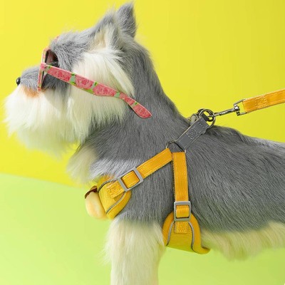 Vest Style Small to Medium-Sized Dog Leash