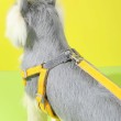 Vest Style Small to Medium-Sized Dog Leash