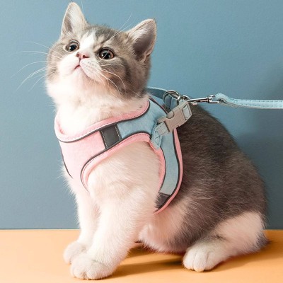 Puppy Vest Style Leash