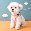Puppy Vest Style Leash
