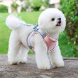 Puppy Vest Style Leash