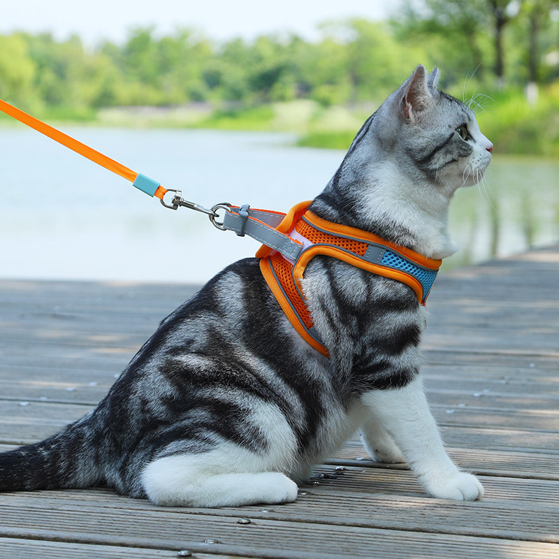 Soft and Breathable Cat Leash
