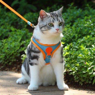 Soft and Breathable Cat Leash