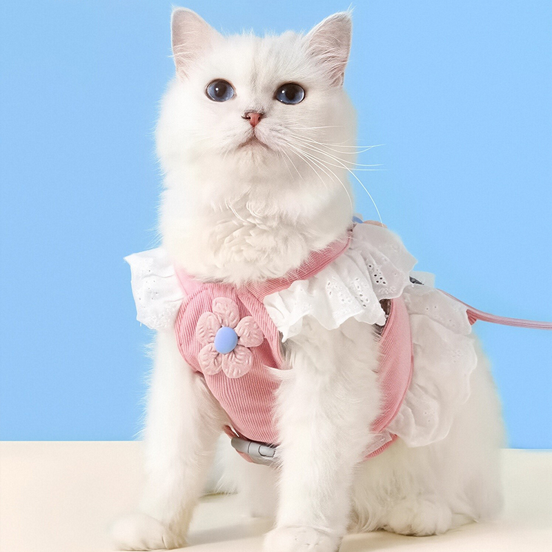 Integrated Cat Leash