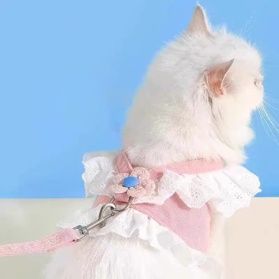 Integrated Cat Leash