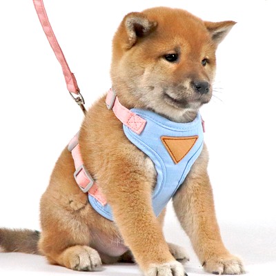 Vest Style Safety Anti Slip Dog Leash