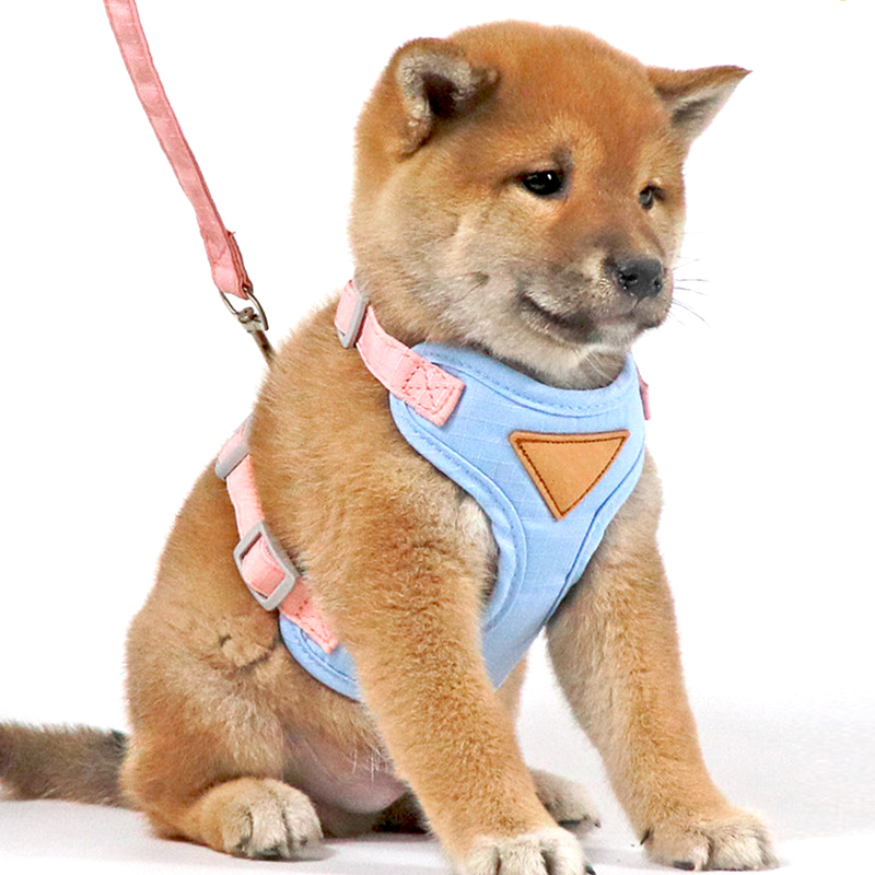 Vest Style Safety Anti Slip Dog Leash