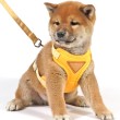 Vest Style Safety Anti Slip Dog Leash