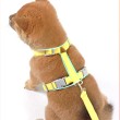 Vest Style Safety Anti Slip Dog Leash