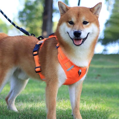 Adjustable Outdoor Dog Leash