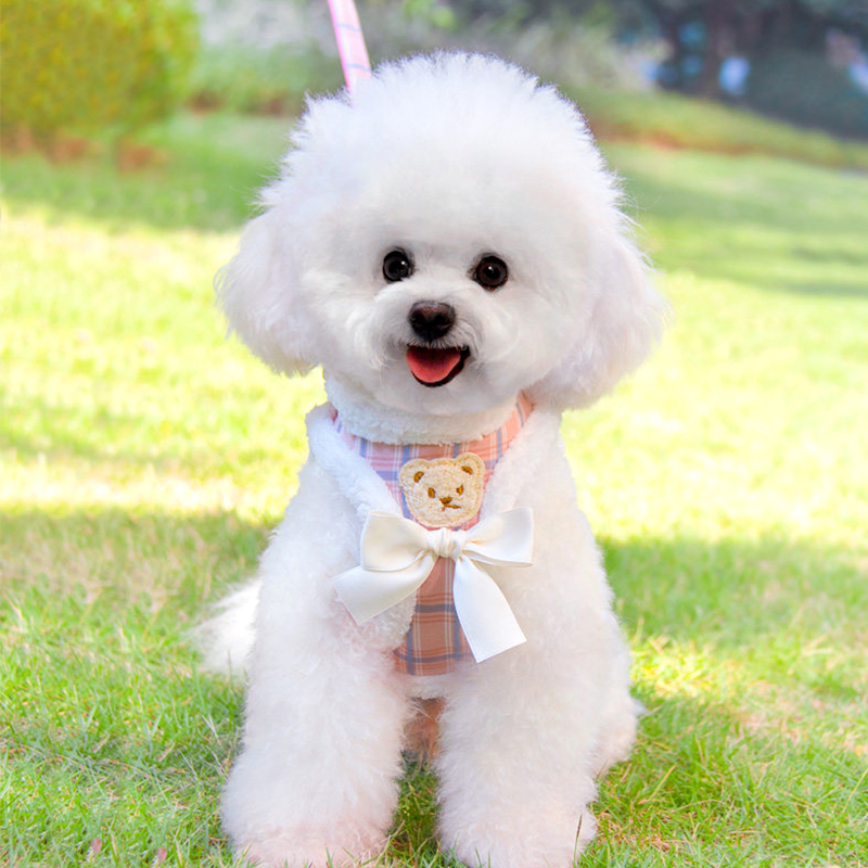 Winter Vest Style Dog Leash