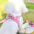 Winter Vest Style Dog Leash