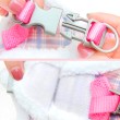 Winter Vest Style Dog Leash