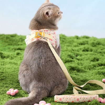 Floral Dress Cat Leash Set