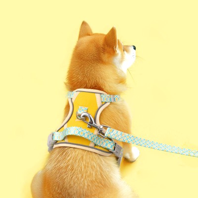 Lightweight Protective Chest and Back Leash