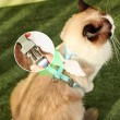 Adjustable H-Shaped Cat Leash