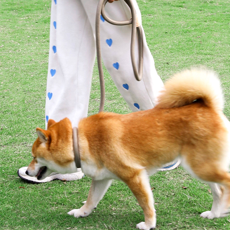 Anti-Surge Dog Leash