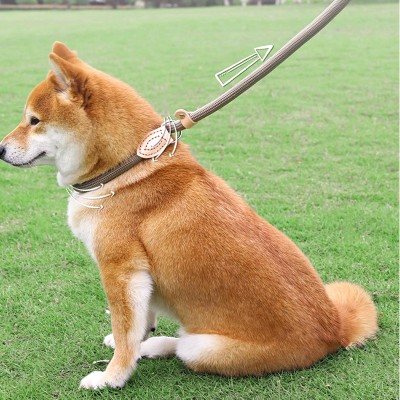 Anti-Surge Dog Leash