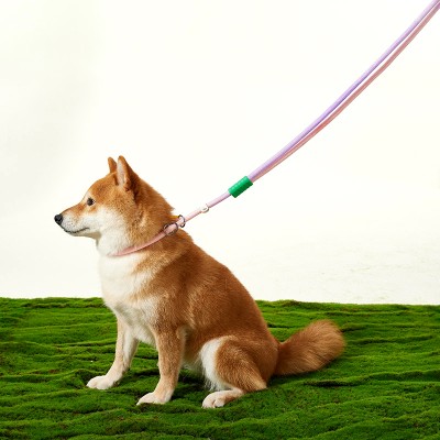 Anti Sudden Leash Dog Leash