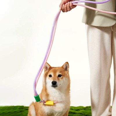 Anti Sudden Leash Dog Leash