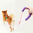 Anti Sudden Leash Dog Leash
