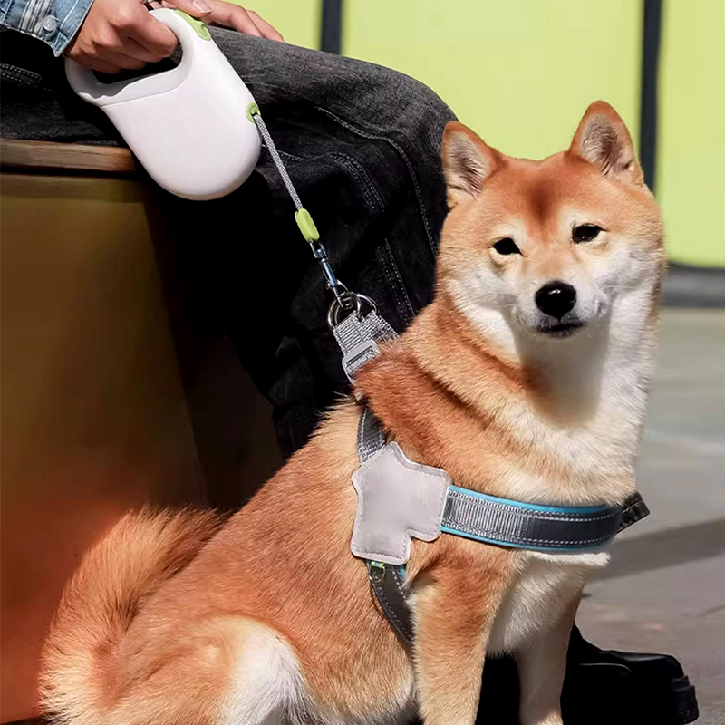 Automatic Retractable Dog Leash