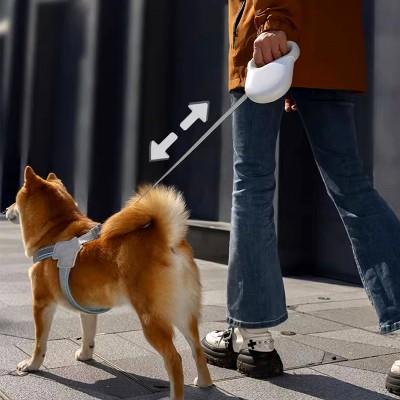 Automatic Retractable Dog Leash