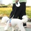 Vest Style Automatic Retractable Leash