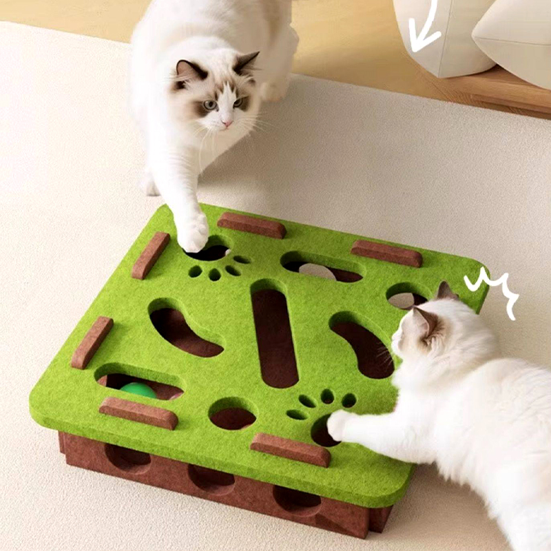 Cat Pull Around Fun Cat Box