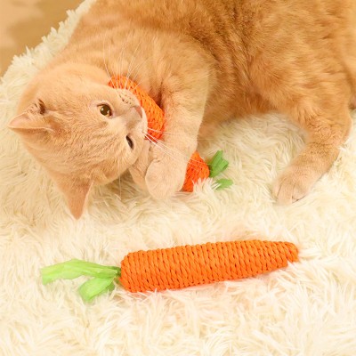 Carrot Cat Toy
