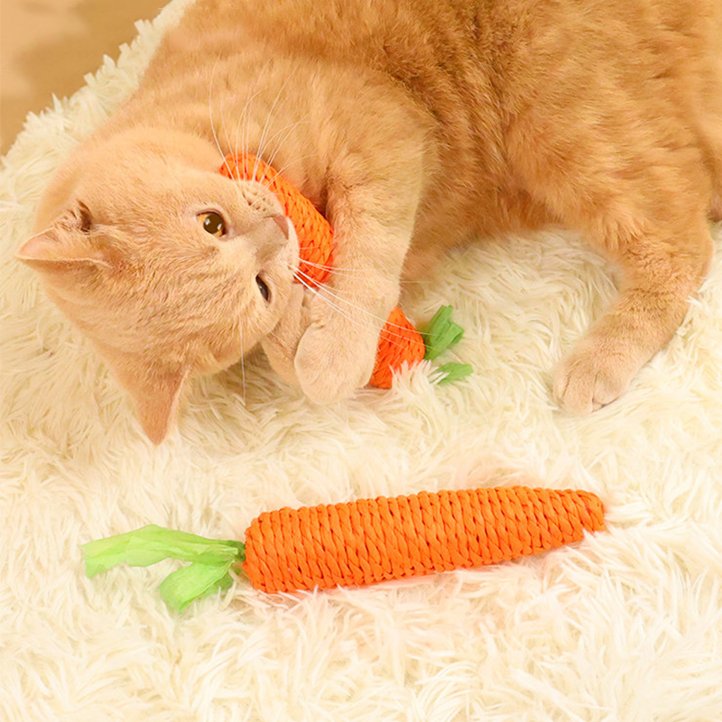Carrot Cat Toy