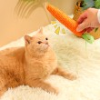 Carrot Cat Toy