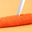 Carrot Cat Toy