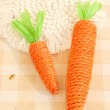 Carrot Cat Toy