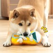 Squeaky Dog Slippers Toy
