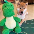 Dinosaur Dog Toy