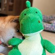 Dinosaur Dog Toy