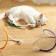 Cat Chewing Rope Toy