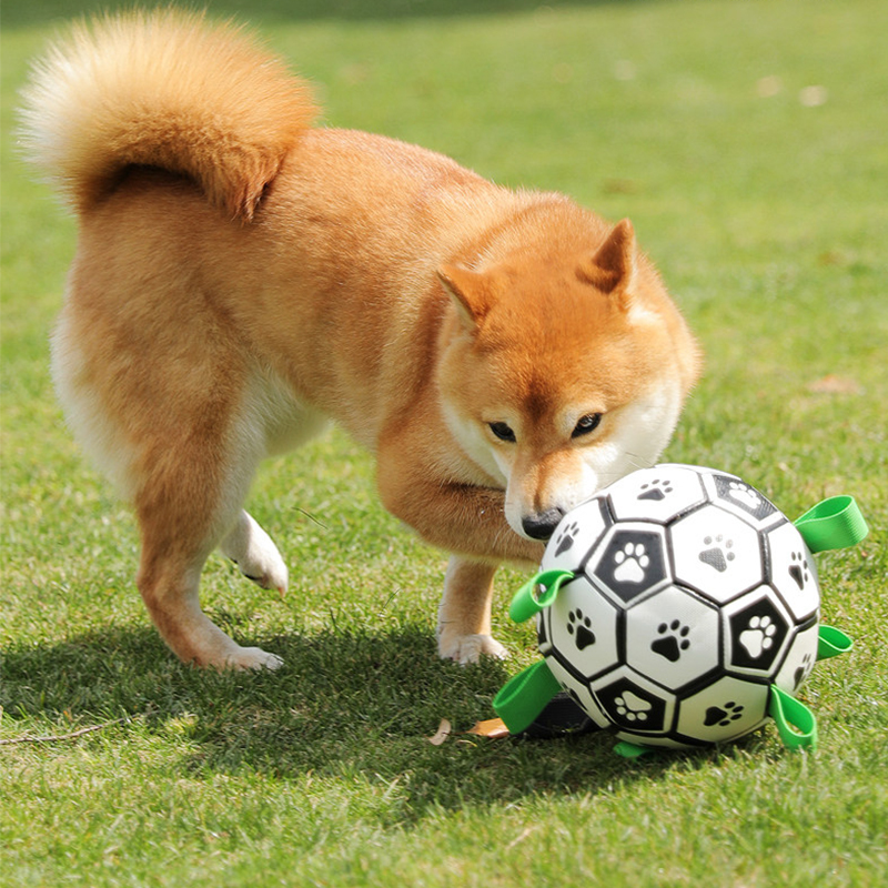 Dog Self Entertaining Soccer Toy